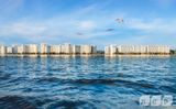 Морская набережная — фото 5