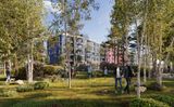 Дубровка.Парк — фото 4