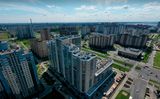 Морская звезда — фото 3