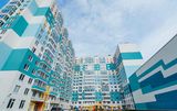 Ландыши — фото 3