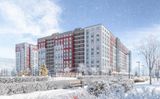 Расцветай в Янино — фото 3