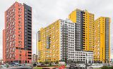 ЦДС Новосаратовка. Город Первых — фото 4