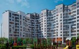 Клюква.Парк — фото 2