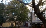 Большой Сампсониевский пр-кт, 56. Апартаменты Петербурга — фото 3