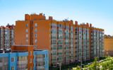Ново-Антропшино — фото 8