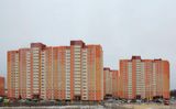 Дудергофская линия 3 — фото 6