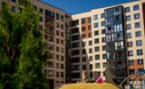 Дзета — фото 1