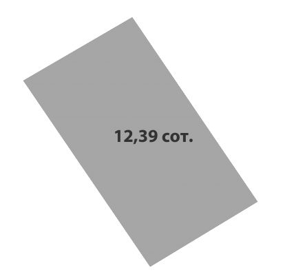 Участок №196 · 12.39 сот.