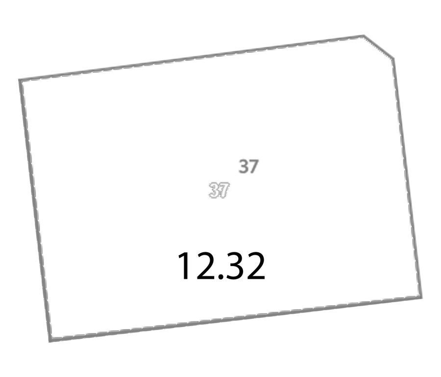 Участок №37 · 12.32 сот.
