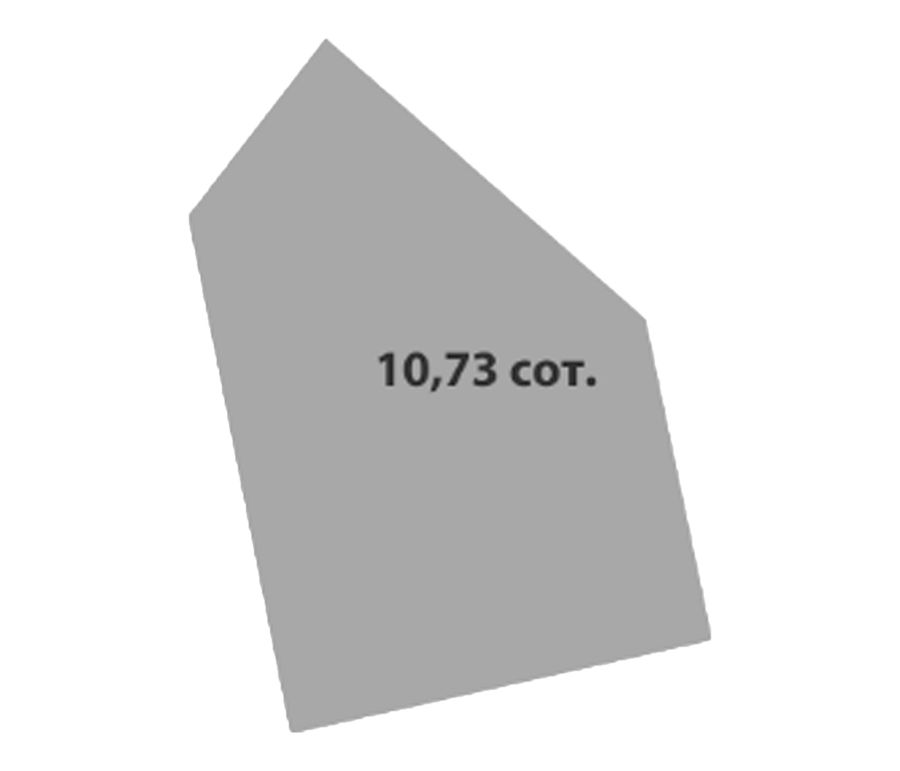 Участок №145 · 10.73 сот.